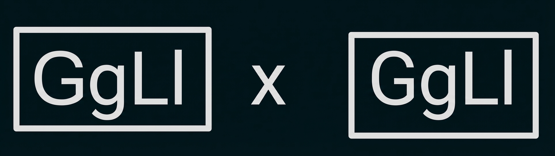 Zwei Kästen mit 'GgLl' nebeneinander, durch ein 'x' getrennt (GgLl x GgLl)